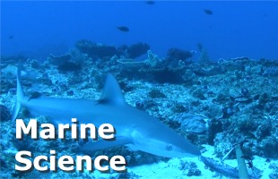 Marine Science